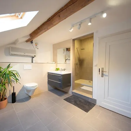 Burer Millen, Muehle イン Born