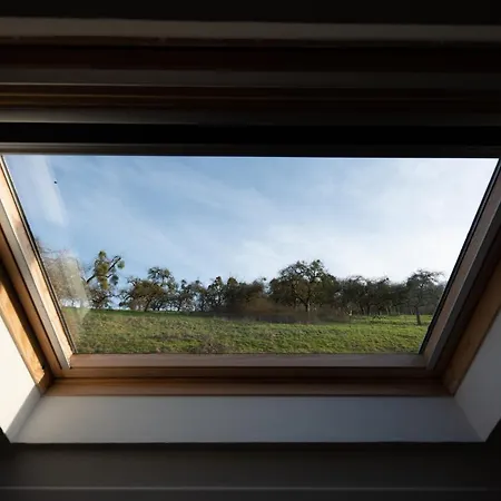 Zajazd Burer Millen, Muehle